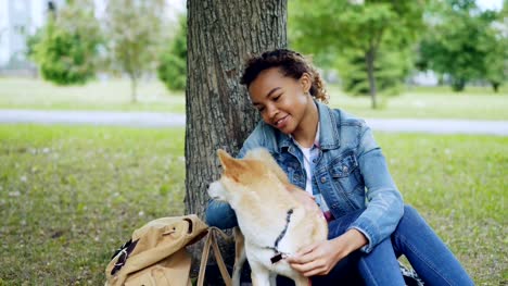Loving-African-American-girl-student-is-stroking-lovable-shiba-inu-dog,-caressing-the-animal-sitting-under-the-tree-in-city-park.-Young-woman-is-wearing-denim-jacket-and-jeans.