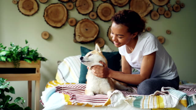 Happy-African-American-Teenager-Mädchen-ist-Hund-streicheln-und-küssen-sie-Ausdruck-von-Liebe-und-Fürsorge-auf-Bett-in-Bedroon-in-Wohnung-streicheln.-Jugend-und-Tiere-Konzept.