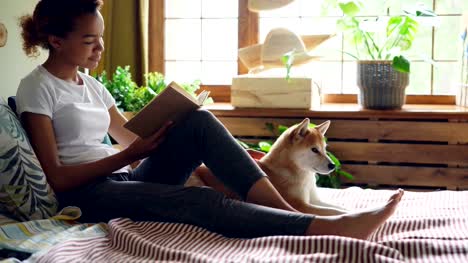 Attractive-girl-is-reading-book-and-stroking-beautiful-dog-lying-on-bed-near-its-owner-at-home.-Modern-interior-with-large-window,-green-plants-and-wooden-decor-is-visible.