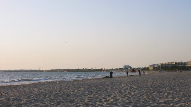 Adolescentes-chicos-jugando-con-perro-en-el-horizonte-mientras-caminaba-por-la-playa.-Actividad-de-verano