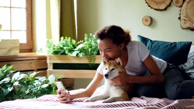 Pretty-girl-proud-dog-owner-is-making-video-call-and-caressing-her-purebred-dog-lying-on-bed-at-home,-young-woman-is-talking-and-showing-animal-to-interlocutor.