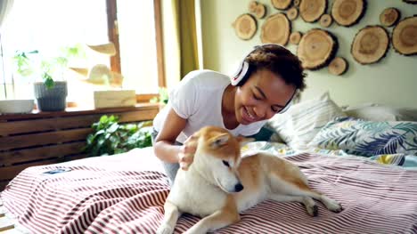 Joyful-African-American-teenage-girl-is-listening-to-music-with-headphones-and-fussing-her-calm-shiba-inu-dog-lying-on-bed-and-enjoying-its-owner's-love.-Fun-and-animals-concept.