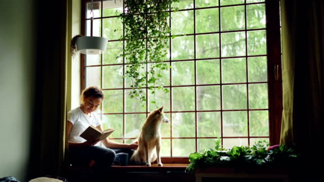 Attractive-African-American-girl-student-is-reading-book-and-stroking-her-purebred-dog-sitting-on-window-ledge-in-modern-apartment.-Hobby,-animals-and-interior-concept.