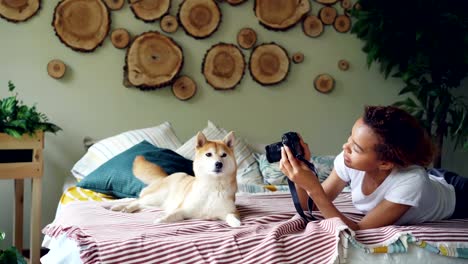 Dueño-de-perro-orgulloso-está-tomando-fotos-de-su-perro-de-pedigrí-con-cámara-profesional-acostado-en-cama-en-casa.-Hermosos-muebles,-plantas-verdes-y-animales-lindas-son-accesibles.