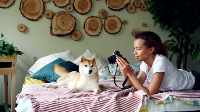 Young-female-photographer-is-shooting-beautiful-pet-dog-lying-on-bed-then-stroking-well-bred-animal-and-watching-pictures-on-camera-screen.-Photography-and-pets-concept.