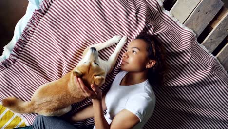 Top-view-of-attractive-African-American-woman-stroking-beautiful-shiba-inu-dog-lying-on-bed-together-at-home.-Young-people,-domestic-animals,-happiness-and-love-concept.