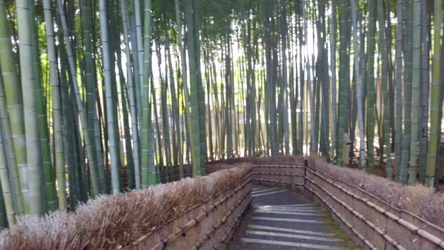 Gehweg-Bambus-Tunnel-benannt-Arashiyama-Bambuswald-in-Kyoto,-touristischen-Wahrzeichen-Japans
