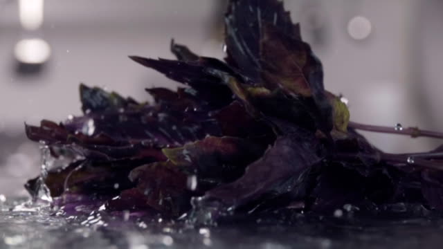 Falling-of-basil-into-the-wet-table.-Slow-motion-240-fps