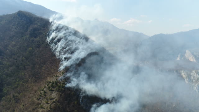 An-aerial-shot-moving-forward,-the-woods-covered-in-thick-smoke