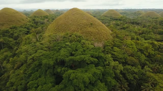 Landschaft-mit-grünen-Hügeln-Bohol,-Philippinen