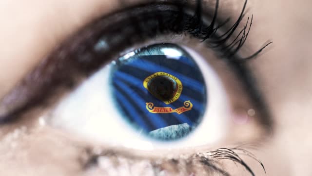 Woman-blue-eye-in-close-up-with-the-flag-of-Idaho-state-in-iris,-united-states-of-america-with-wind-motion.-video-concept