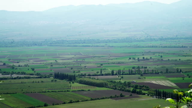 Alazani-valley,-Kakheti-region,-Georgia