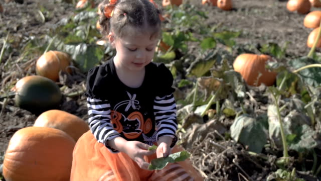 Toddler-girl-in-cute-Halloween-dress-looking-for-perfect-pumpkin-at-the-pumpkin-patch.