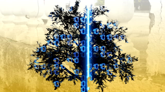 Mixta-de-dos-de-animación-en-3d-del-árbol-y-binario-código