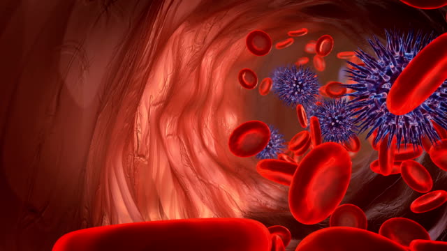 virus-y-células-de-la-sangre