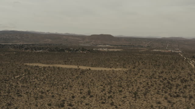 Flug-über-Bäume-in-der-Wüste.