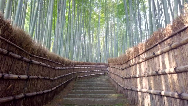 walkway-bamboo-tunnel-named-Arashiyama-bamboo-forest-in-Kyoto,-Tourist-landmark-of-Japan