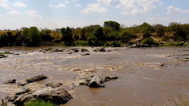 Ein-Blick-auf-die-Stromschnellen-des-Flusses-Mara-mit-braunem-Wasser-In-Afrika