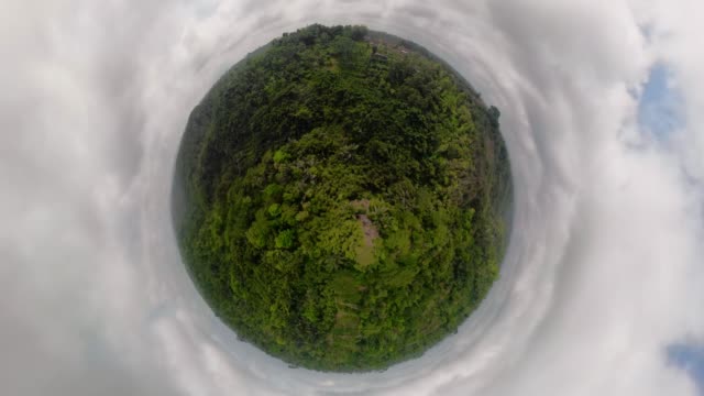 tropische-Landschaft-mit-Regenwald-Indonesien