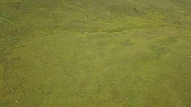 Herde-von-Pferden-auf-Sommerweide-in-Berg-Tal-Luftbild