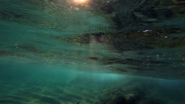 Sonnenstrahl-Unterwasser-4k