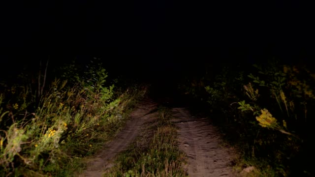 Conducir-en-el-camino-Rural-mal-en-la-oscuridad-a-la-luz-de-las-linternas-en-el-bosque