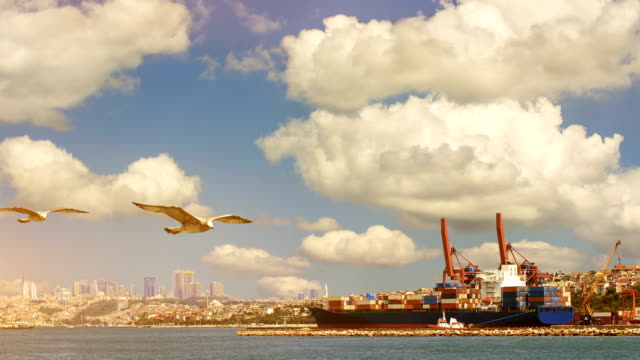 CINEMAGRAPH---Container-Cargo-freight-ship-by-crane-bridge.