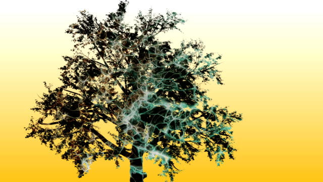 Mixed-media-of-two-3d-animation--from-tree--and-Technology-Interface-Computer-Data-Digital-Screen