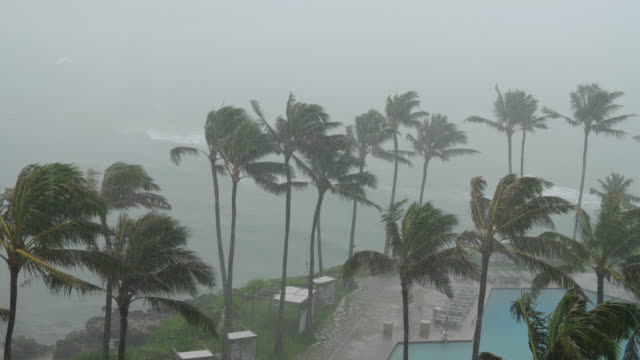 Hurricane-Wind-and-Rain-on-Island-Resort