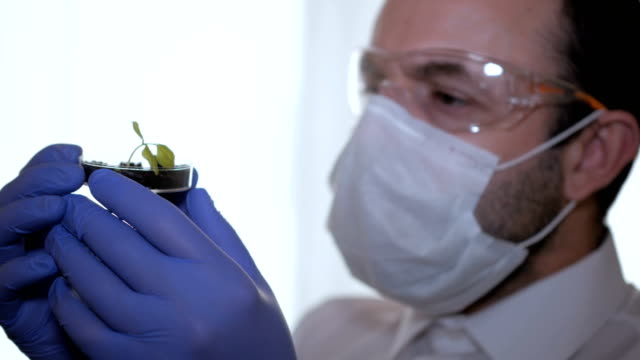 Biologist-examines-sample.-Science,-biology,-ecology.-Professional-scientist-wearing-protective-mask-working-with-herb-samples-in-his-laboratory.-Male-scientist-looking-at-plant-leaf-in-petri-dish.