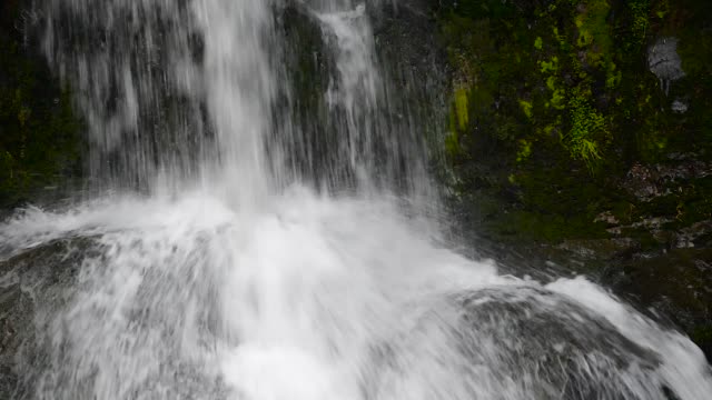 Wasserfall-im-Wald.-Waiau-Falls