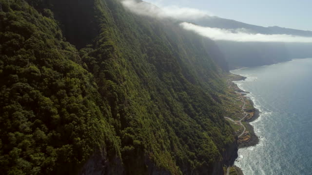 Regenwald-an-der-Küste-Madeiras