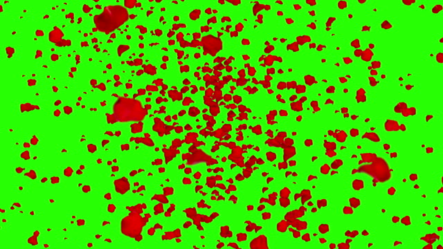 rote-Rosenblüten,-fliegen-im-Strudel-auf-green-Screen-Chroma-Key-Hintergrund-mit-ausblenden,-Schleife-nahtlos,-Valentine-Tag-Liebe-Urlaub-festliche-Veranstaltung