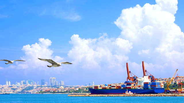 CINEMAGRAPH---Container-Cargo-freight-ship-by-crane-bridge.