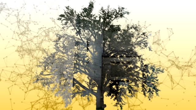 Mixed-media-of-two-3d-animation--from-tree-and-geometric-polygonal-structure