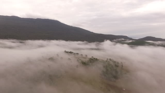 Nubes-bajas-y-niebla-cubierta-granja-australiana-en-madrugada,-abejón