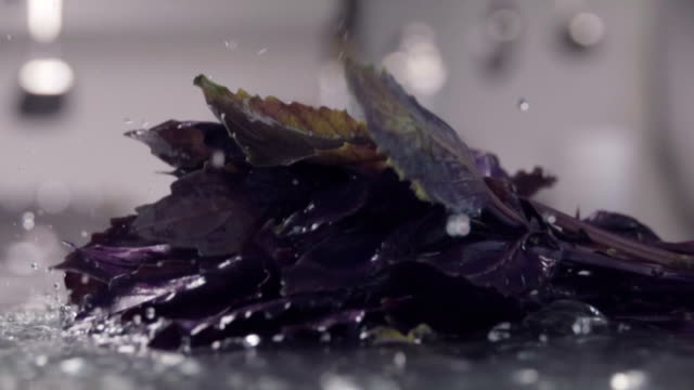 Falling-of-basil-into-the-wet-table.-Slow-motion-480-fps