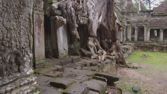 POV:-Caminando-alrededor-de-un-templo-budista-que-se-decae-cubierto-por-raíces-de-árboles-gruesos.