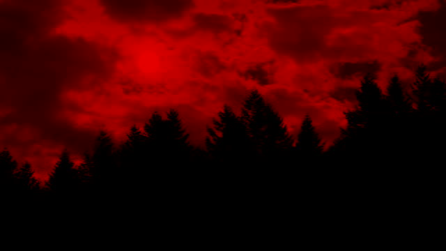 Rote-Sonne-leuchtet-durch-Wolken-über-dem-Wald