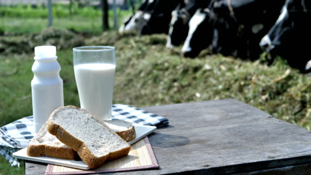 Leche-en-vidrio-y-pan-de-desayuno.--Fondo-de-vacas-en-una-granja.-Alimentos-y-sano-concepto-de-la-leche.-Cámara-lenta