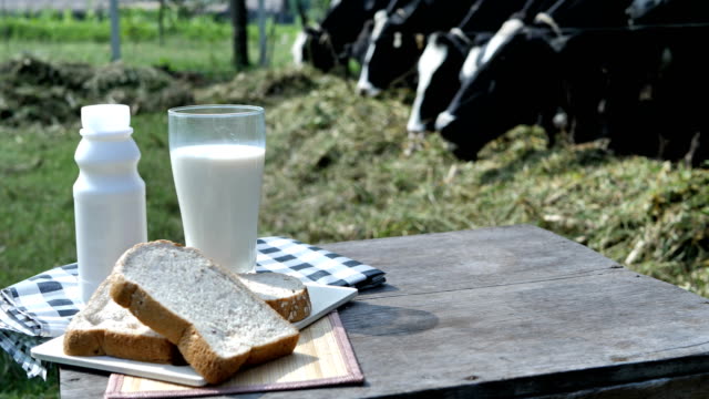 Leche-en-vidrio-y-pan-de-desayuno.--Fondo-de-vacas-en-una-granja.-Alimentos-y-sano-concepto-de-la-leche.-Cámara-lenta