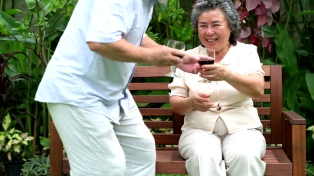 Senior-pareja-sentado-y-bebiendo-vino-tinto-juntos-en-el-jardín-de-casa.