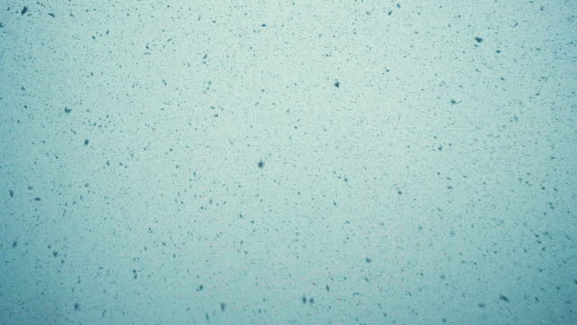 Large-snow-flakes-are-falling-from-the-sky,-very-large-snow-falls-by-a-wall,-a-bottom-view,-slow-motion
