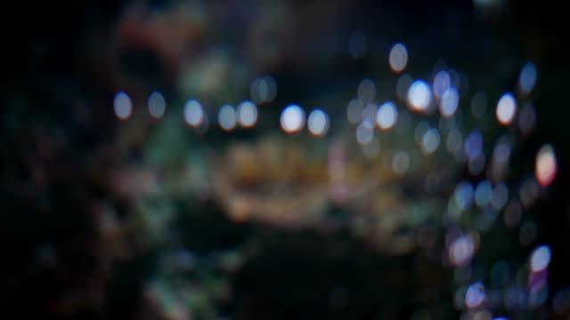 Blur-air-bubble-from-oxygen-machine.-Abstract-blur-bokeh-background.