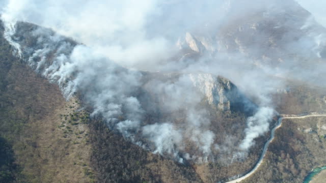 A-moving-aerial-footage-of-thick-smoke-in-the-woods