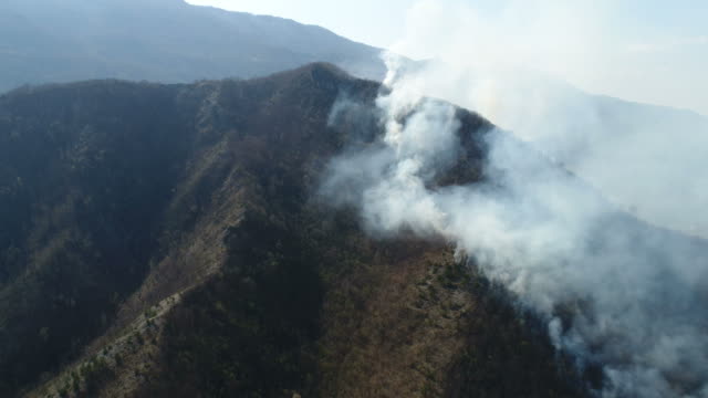 Aerial-footage-of-a-forest-covered-in-thick-smoke