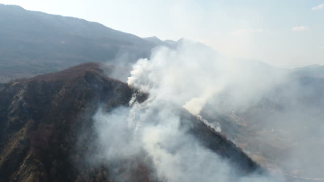 Aerial-footage-of-a-forest-covered-in-thick-smoke
