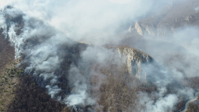An-aerial-and-moving-shot-showing-the-woods-in-flame,-thick-smoke-covering-the-whole-area...