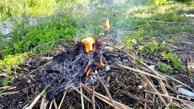 un-incendio-quema-en-el-jardín