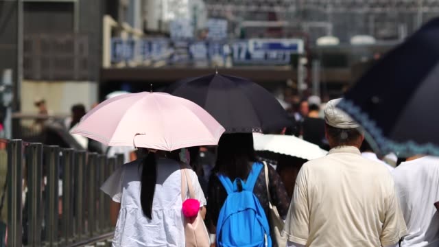 Viele-Menschen-wandern-in-Japan